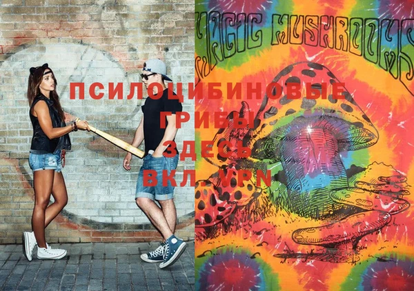 spice Армянск