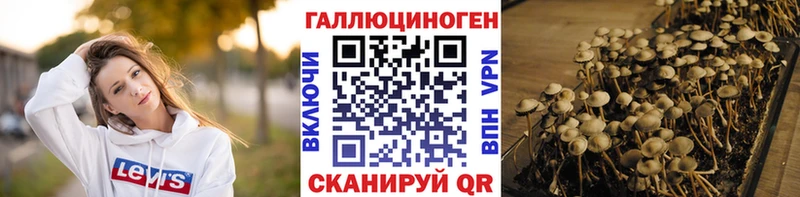 Галлюциногенные грибы мухоморы Радужный